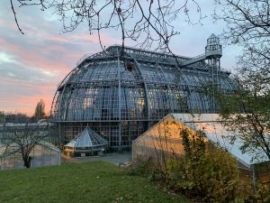 Professionelle Teppichreinigung im Berliner Stadtteil Steglitz